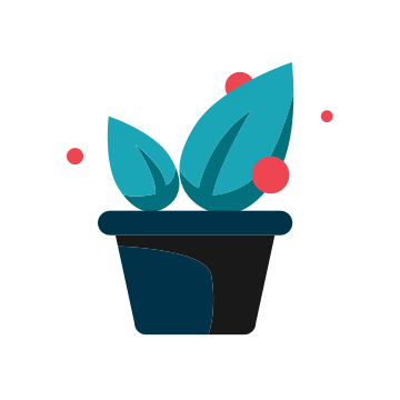 Potted plant